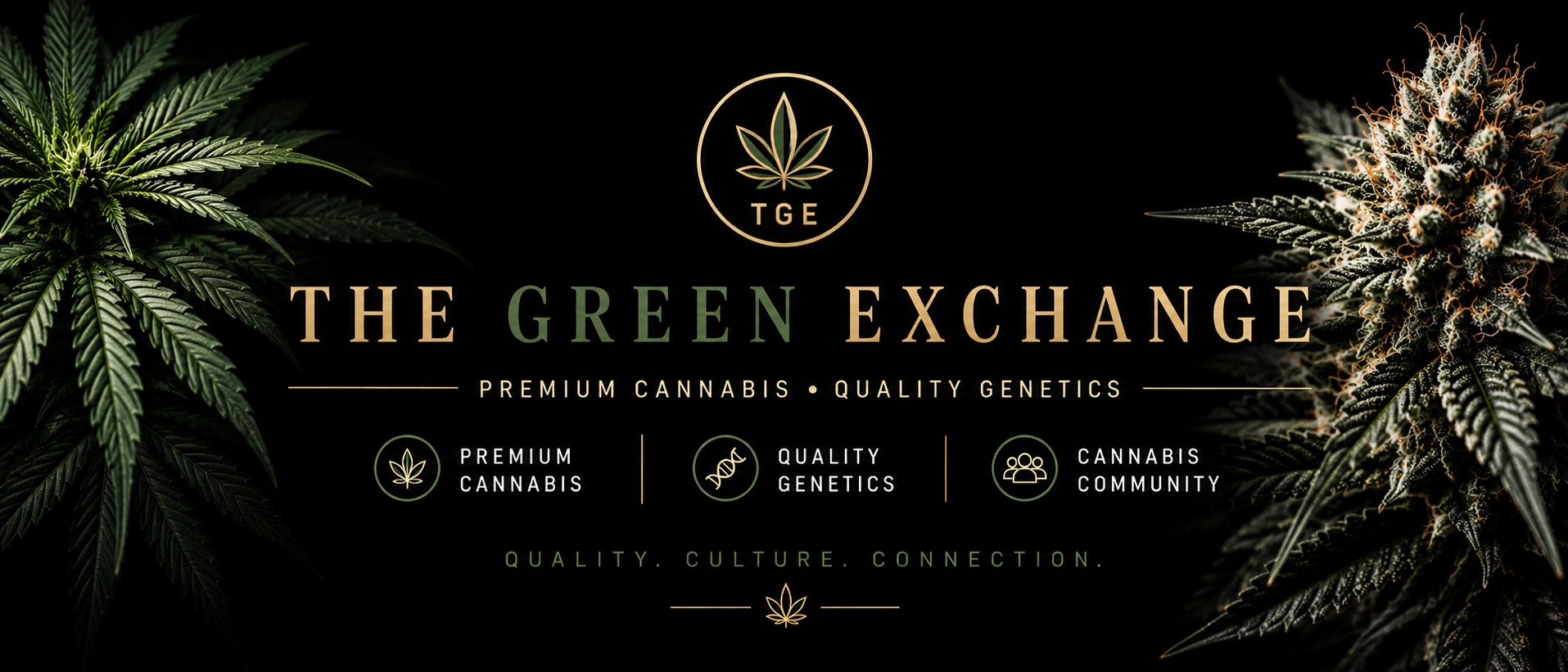 The Green Exchange — Premium Cannabis, Quality Genetics